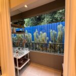 WhatsApp Image 2024-02-16 at 14.54.55 (2)