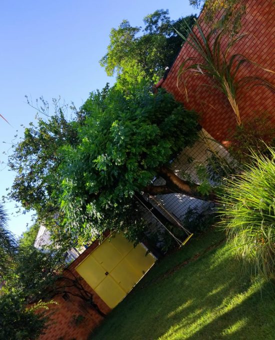 WhatsApp Image 2026-02-09 at 11.42.44 (1)