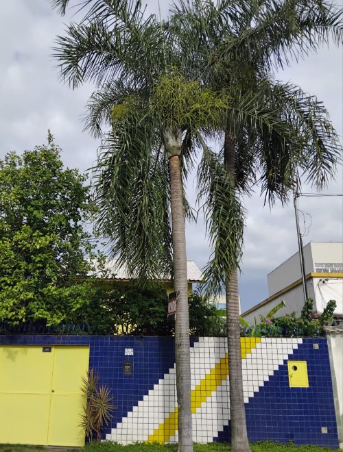 WhatsApp Image 2026-02-09 at 11.42.45 (1)