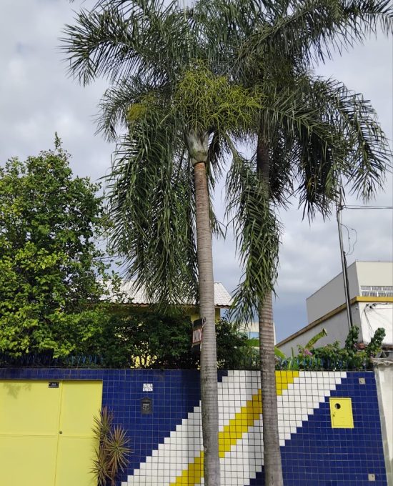 WhatsApp Image 2026-02-09 at 11.42.45 (1)