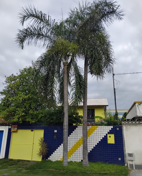 WhatsApp Image 2026-02-09 at 11.42.45 (2)